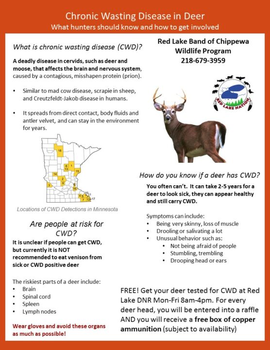 Red Lake DNR | Red Lake Department of Natural Resources | Northern MN